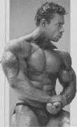 levrone6.JPG
