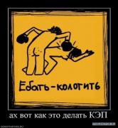 1258029074x_53379051.jpg