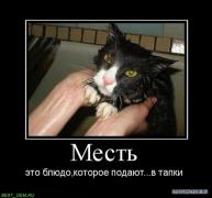 fjghfg_копия.jpg
