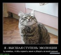 x_b63666f9_копия.jpg