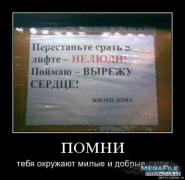 1263317862_s3img_70322351_477_1.jpg