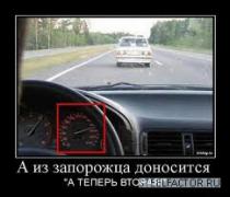 рлаа.jpg