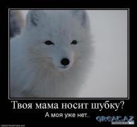 1265899877_1265673201_demotivator_24.jpg