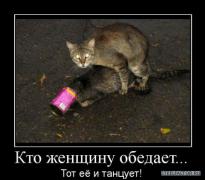 1255421560_359619_kto_zhenschinu_obedaet.jpg