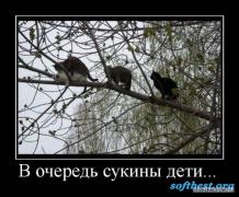 1266313199_574235_v_ochered_sukinyi_deti.jpg