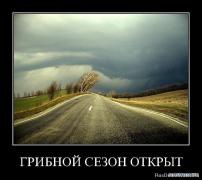 1263161415_zcqm685i963j.jpg