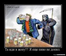 1275645731_965663_ta_idi_v_zhopu_ya_esche_pivo_ne_dopil.jpg
