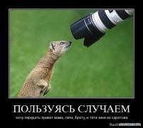 1278089516_qqglymzfb5qu.jpg