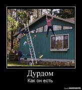 1281462011_486404_durdom.jpg