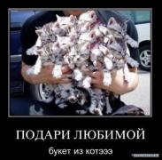 1291841603_novogodnie_demotivatori_2011_2.jpg