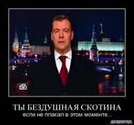 159182_ty_bezdushnaia_skotina_esli_ne_plakal_v_etom_momente.jpg