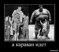 tmpQZxO_U.jpg