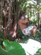 IMG_3978___.jpg
