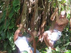 IMG_3984___.jpg
