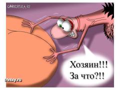 x_9d5cf68f.jpg
