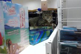 IMG_20120116_141533.jpg