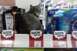 IMG_20120116_141431.jpg