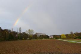 DSC_0019.jpg