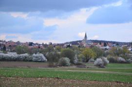 DSC_0012.jpg