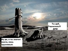 baumstumpf_tree_stump m.jpg