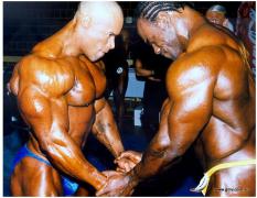 Новый рисунок (7).jpg