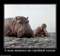 6e13477b7a4a.jpg