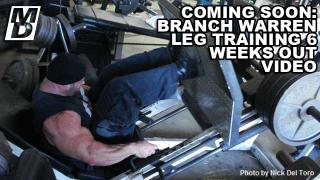 branch-soon.jpg