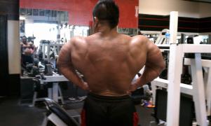 2011 12-28 Hide 03.jpg