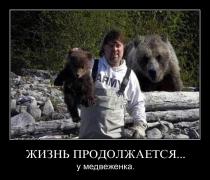 медвежонок.jpg