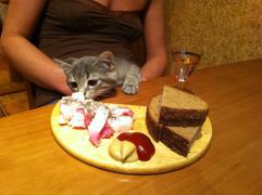 IMG_0045.jpg