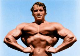 617-Arnold_Schwarzenegger_standalone_prod_affiliate_4 copie.jpg