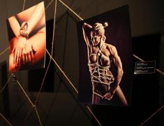 IMG_6041_1200h.jpg