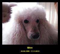P1010050 - 1.jpg