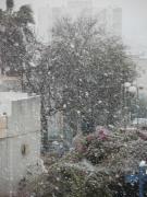 P1100371 - 10.01.2013.JPG