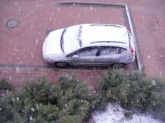 P1100373 - 10.01.2013.JPG