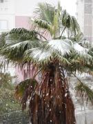 P1100380 - 10.01.2013.JPG