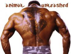 batista back.jpg