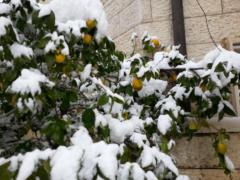 20130110_095141.jpg