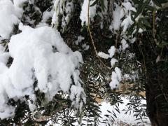 20130110_094138.jpg