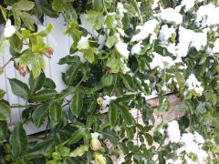 20130110_094424.jpg