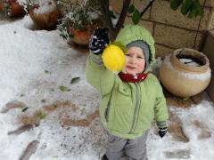 20130110_095153.jpg