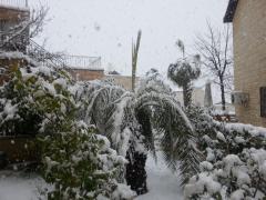 20130110_090426.jpg
