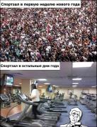 lyudi-v-sportzalah-B3vGCm.jpg