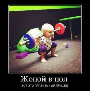 509348_zhopoj-v-pol-_demotivators_ru.jpg