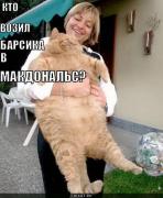 nayelsya-do-otvala_1275985004.jpg