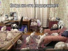 kogda-zhe-eta-moderatsiya_1340945561.jpg