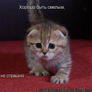 990348901bc18b932d40639e23e41cc7_full.jpg