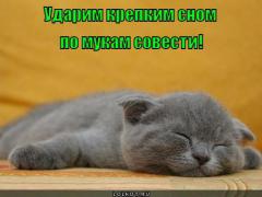 krepkiy-son_1336918433.jpg
