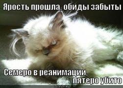 yarost-proshla_1333341871.jpg