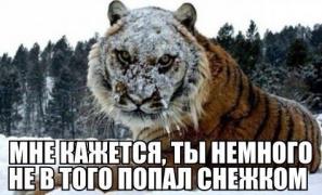 yumora-nemnogo-kartinki-smeshnye-kartinki-fotoprikoly_148310879.jpg